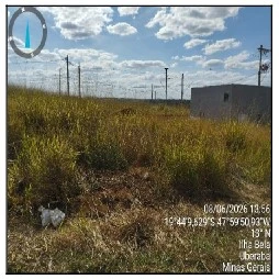 Terreno no Lote Ilha Bela em Uberaba/MG em Uberaba - Minas Gerais