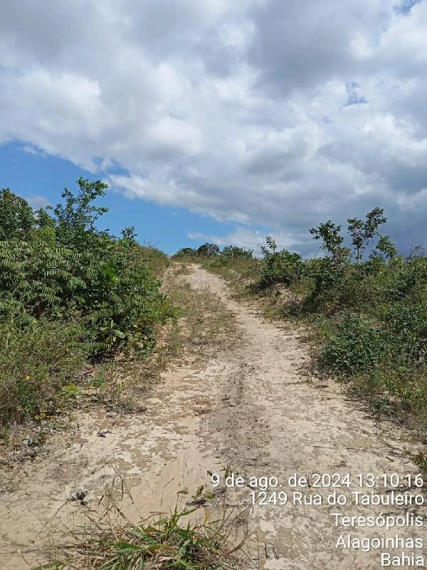 Terreno no Nova Brasília em Alagoinhas/BA em Alagoinhas - Bahia