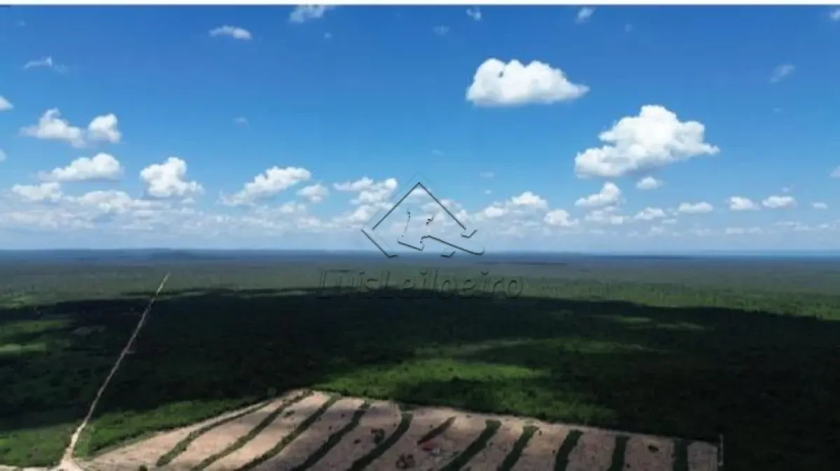 Fazenda Fazenda Baraúna - 3005 ha em Barra/BA em Barra - Bahia