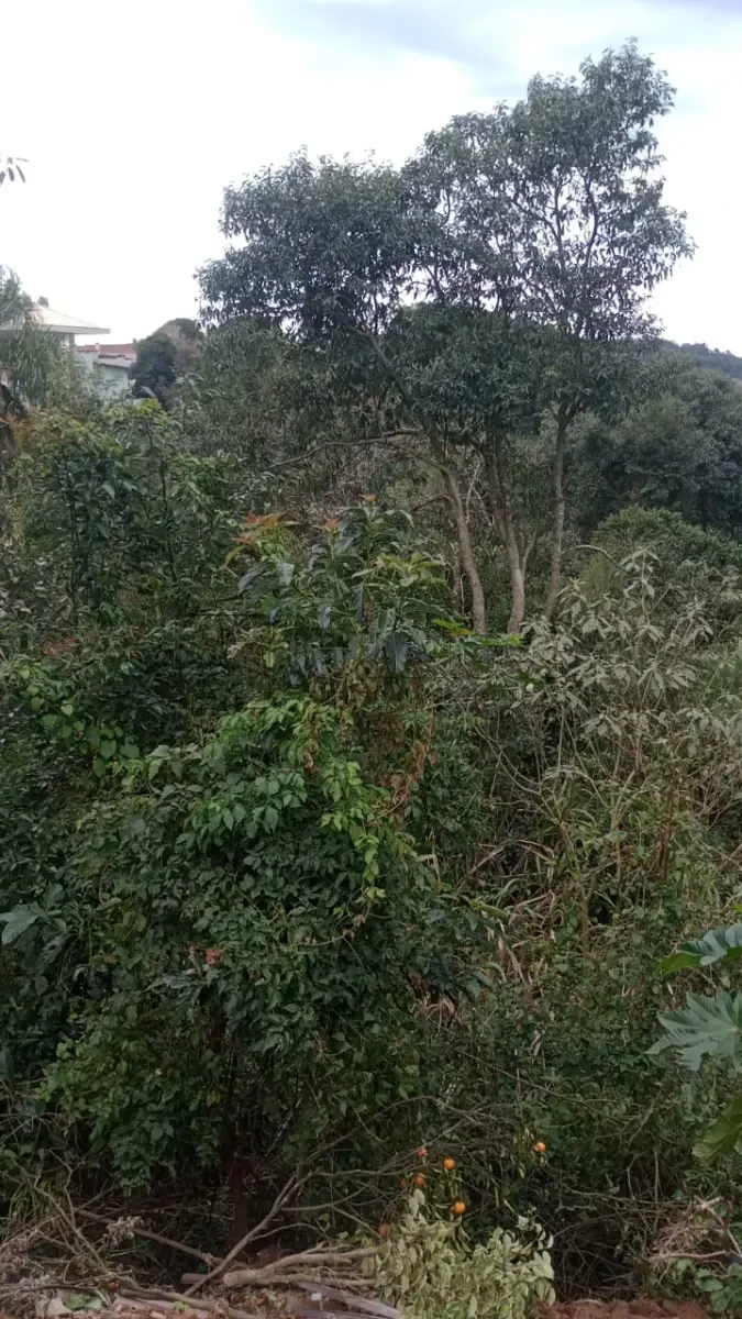Terreno no RS em Arvorezinha/RS em Arvorezinha - Rio Grande do Sul