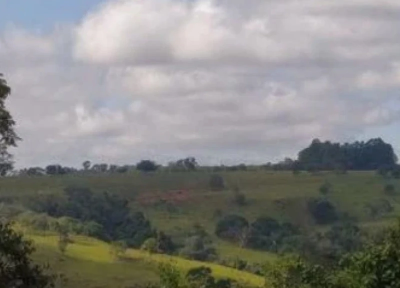 Fazenda com área rural em Lagamar/MG em Lagamar - Minas Gerais