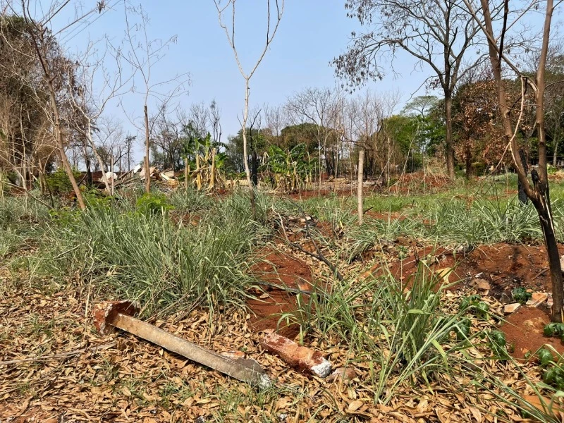 Chácara em Sarandi/PR em Sarandi - Paraná