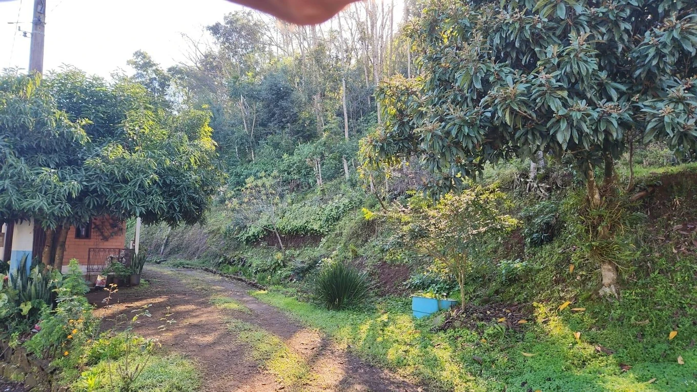 Terreno Terreno urbano em Mondaí/SC em Mondaí - Santa Catarina