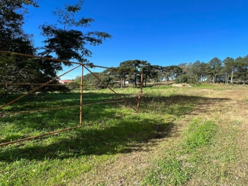 Terreno Área em Caxias do Sul/RS em Caxias Do Sul - Rio Grande do Sul