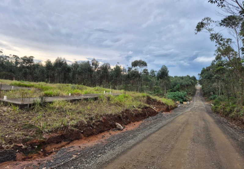 Terreno Terreno urbano em Criciúma/SC em Criciúma - Santa Catarina