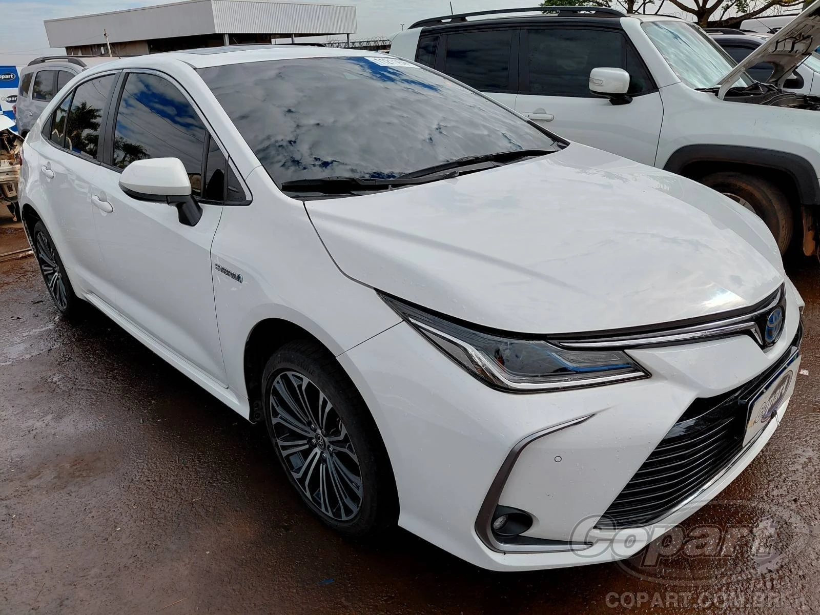 Toyota Corolla Altis Hybrid Premium Pack 1.8 16V Dual VVT-i 2023 em Aparecida De Goiânia - Goiás