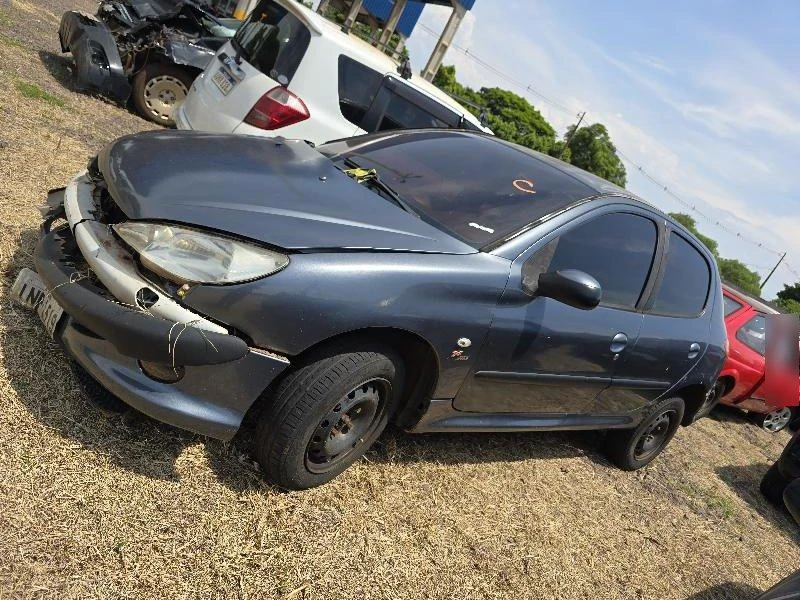 Peugeot 206 Feline FX 2006/2007 em Toledo - Paraná