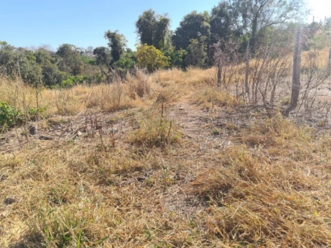 Terreno Terreno em Mossâmedes/GO em Mossâmedes - Goiás