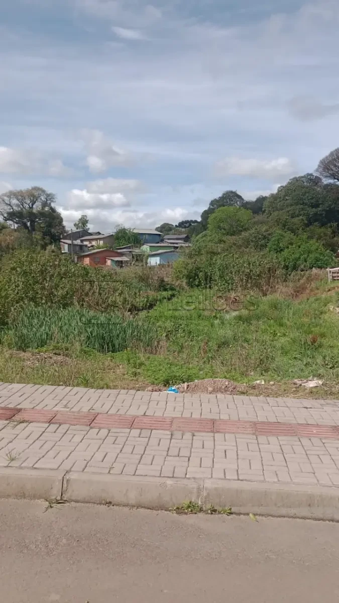 Terreno com Terreno Urbano em Arvorezinha/RS em Arvorezinha - Rio Grande do Sul
