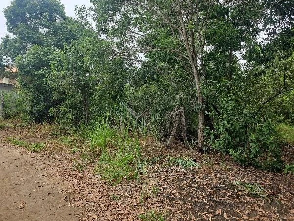 Terreno no Do Congo em Vila Velha/ES em Vila Velha - Espírito Santo