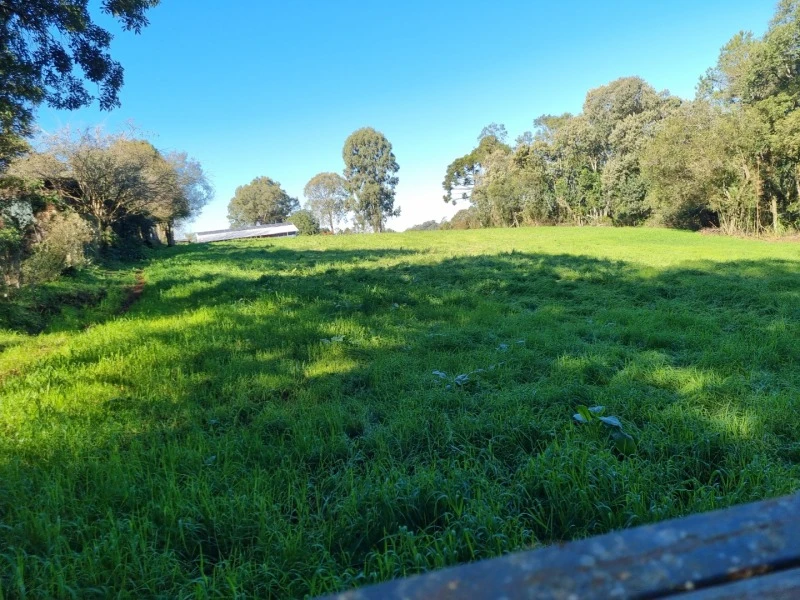 Chácara com área rural em Erechim/RS em Erechim - Rio Grande do Sul