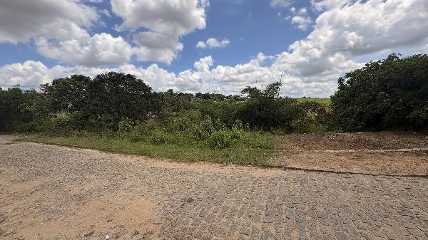Terreno no Desm. Granja Santo em Aliança/PE em Alianca - Pernambuco