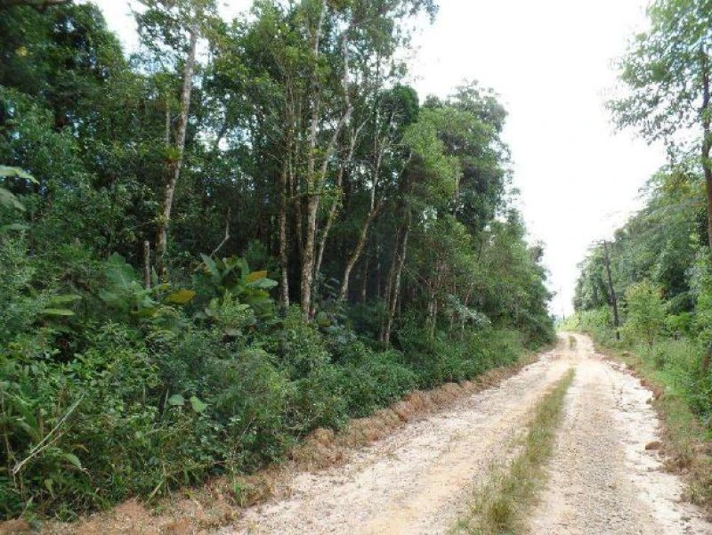 Sítio de 41ha Gleba 01 no Salto em Ibiúna - São Paulo