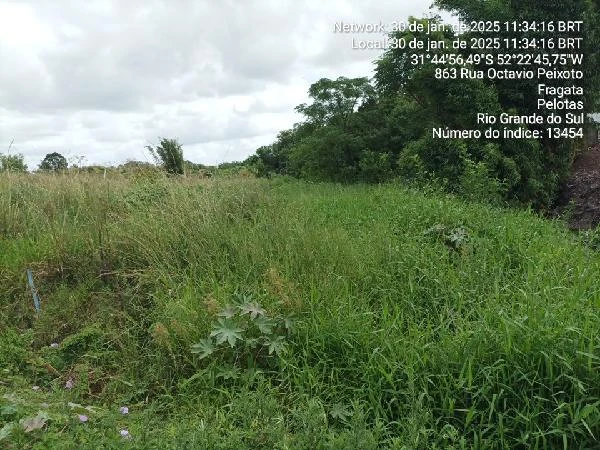 Terreno de 398m² em Fragata, Pelotas em Pelotas - Rio Grande do Sul