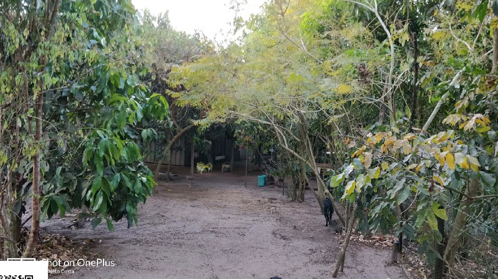 Chácara com 2 Quartos em Vilhena/RO em Porto Velho - Rondônia