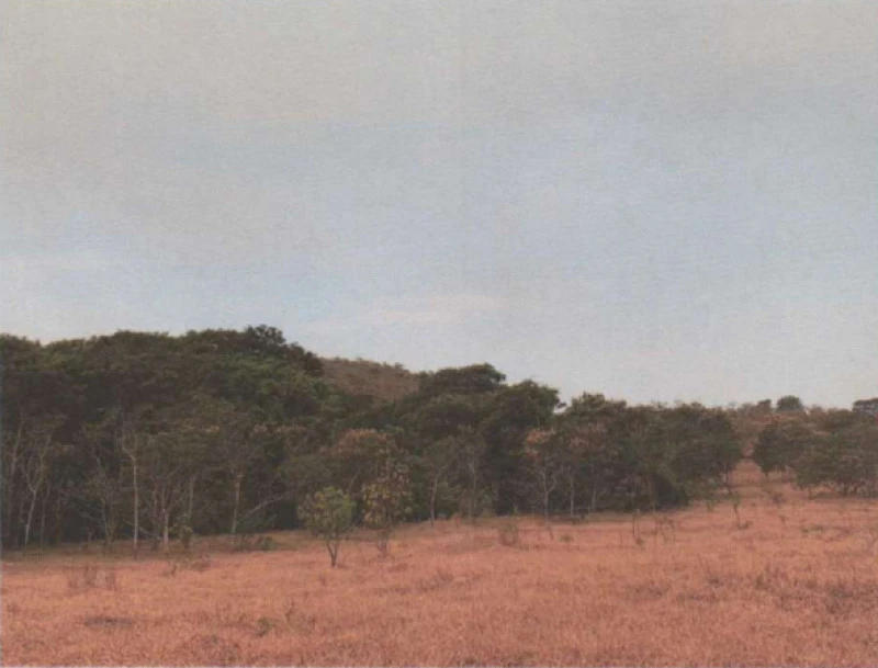 Terreno Terreno Rural em Patrocínio/MG em Patrocínio - Minas Gerais