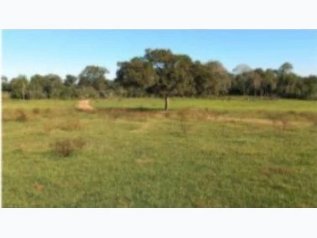 Fazenda 70 ha em Caracol/MS em Caracolm - Mato Grosso do Sul