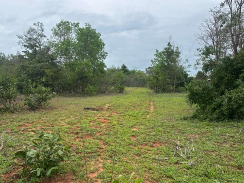 Fazenda em Bom Jardim de Goiás/GO em Bom Jardim De Goiás - Goiás