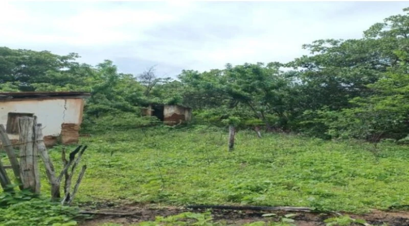Terreno com 11,41 ha em Capistrano/CE em Capistrano - Ceará