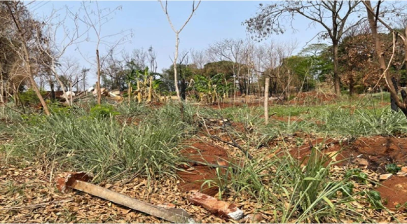 Chácara em Sarandi/PR em Sarandi - Paraná