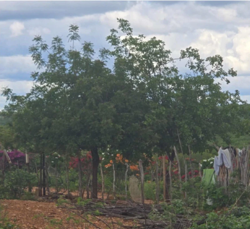 Terreno com 65.34 ha em Mirandiba/PE em Mirandiba - Pernambuco