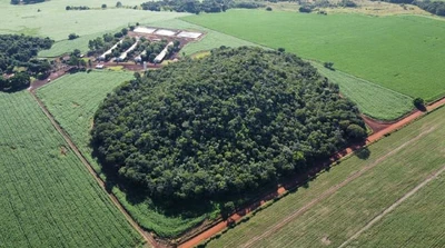 Fazenda com 84.72 ha em Santo Antônio da Barra/GO em Santo Antônio Da Barra - Goiás