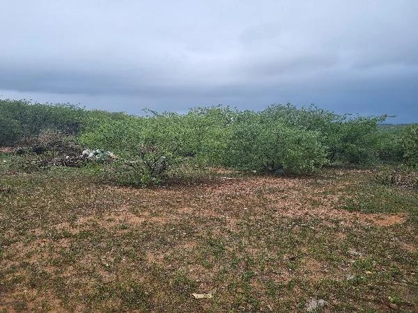 Terreno de 28400m² em São Vicente RN em São Vicente - Rio Grande do Norte