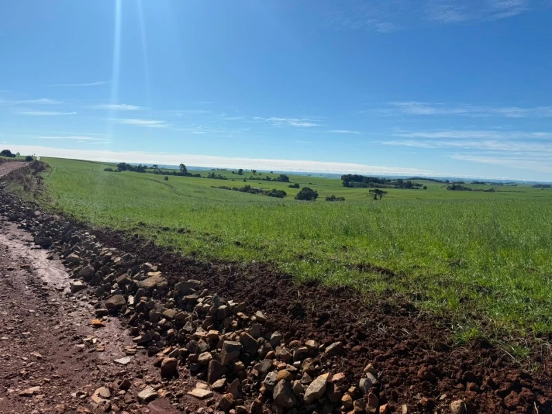 Fração Fração de terras em Campos Borges/RS em Campos Borges - Rio Grande do Sul