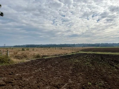 Terreno Terreno Rural em São Mateus do Sul/PR em São Mateus Do Sul - Paraná