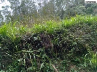 Sítio Parte ideal de Sítio com 9,65 ha em Itaiópolis/SC em Itaiópolis - Santa Catarina