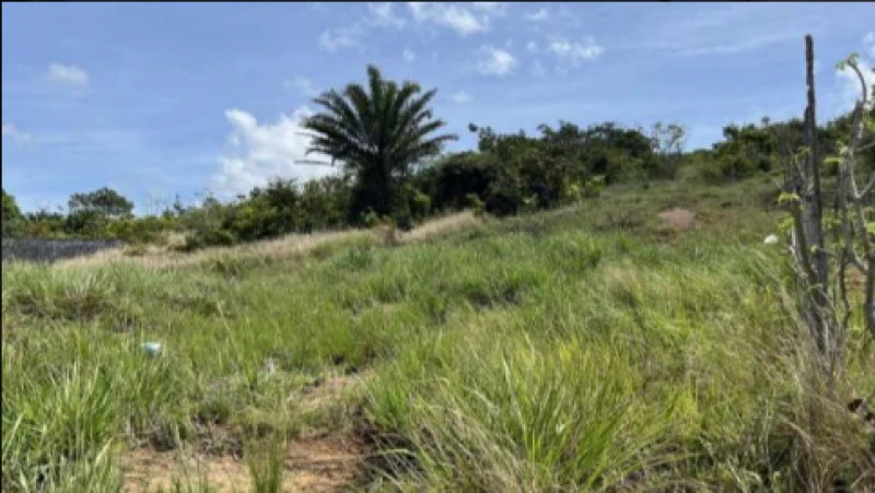 Terreno conjunto de 7 lotes de 360m² em Goiana/PE em Goiana - Pernambuco