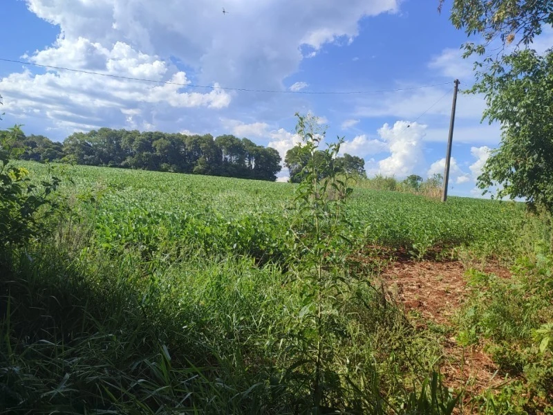 Terreno com 3 Hectares na Esquina União em Giruá/RS em Giruá - Rio Grande do Sul