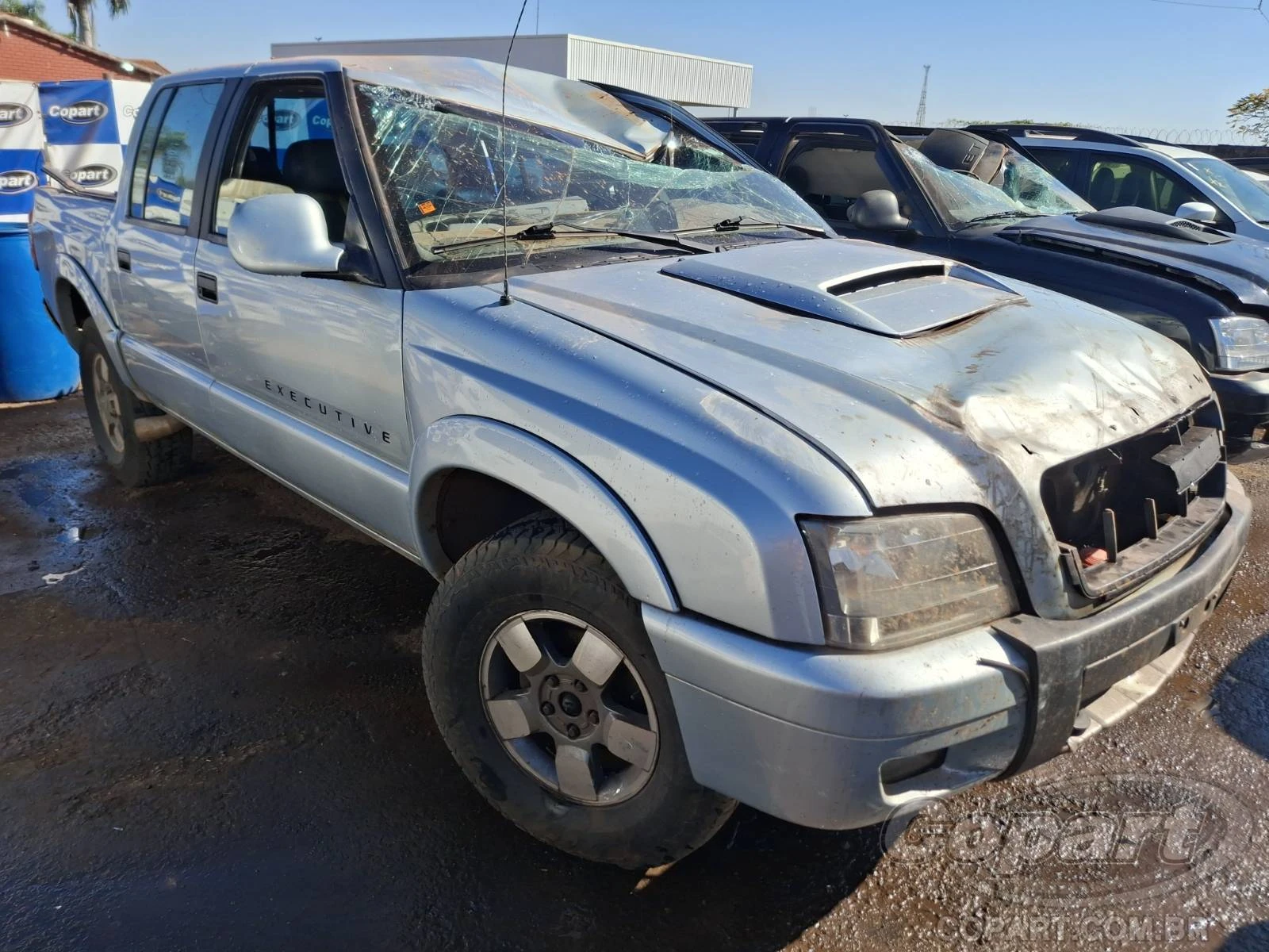 Chevrolet S10 Cabine Dupla Executive 2011 2.8 Turbo em Aparecida De Goiânia - Goiás