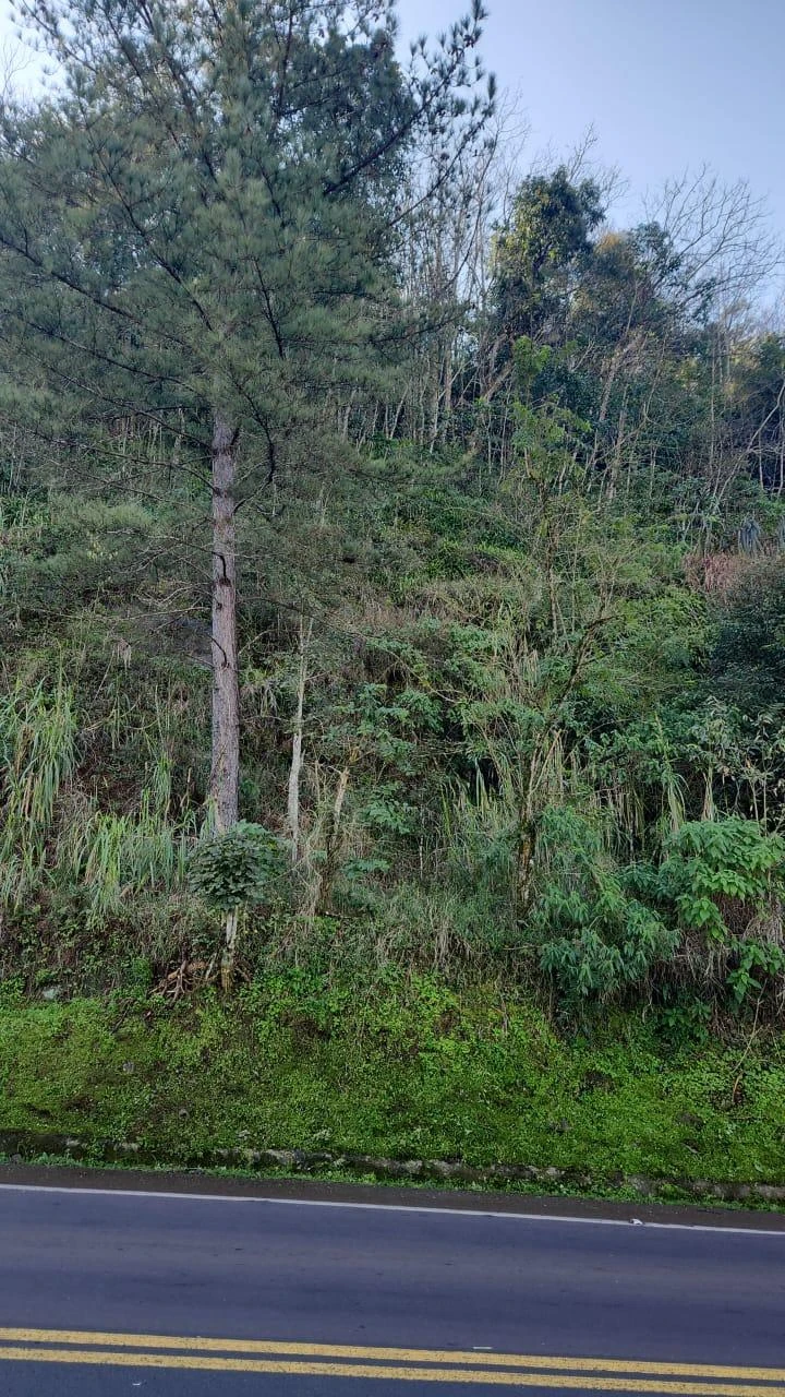 Terreno no Rua Laju em Mondai/SC em Mondaí - Santa Catarina