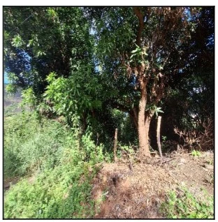 Terreno no Belvedere em Serra/ES em Serra - Espírito Santo