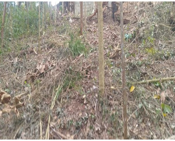 Terreno em Mairiporã/SP em Mairiporã - São Paulo