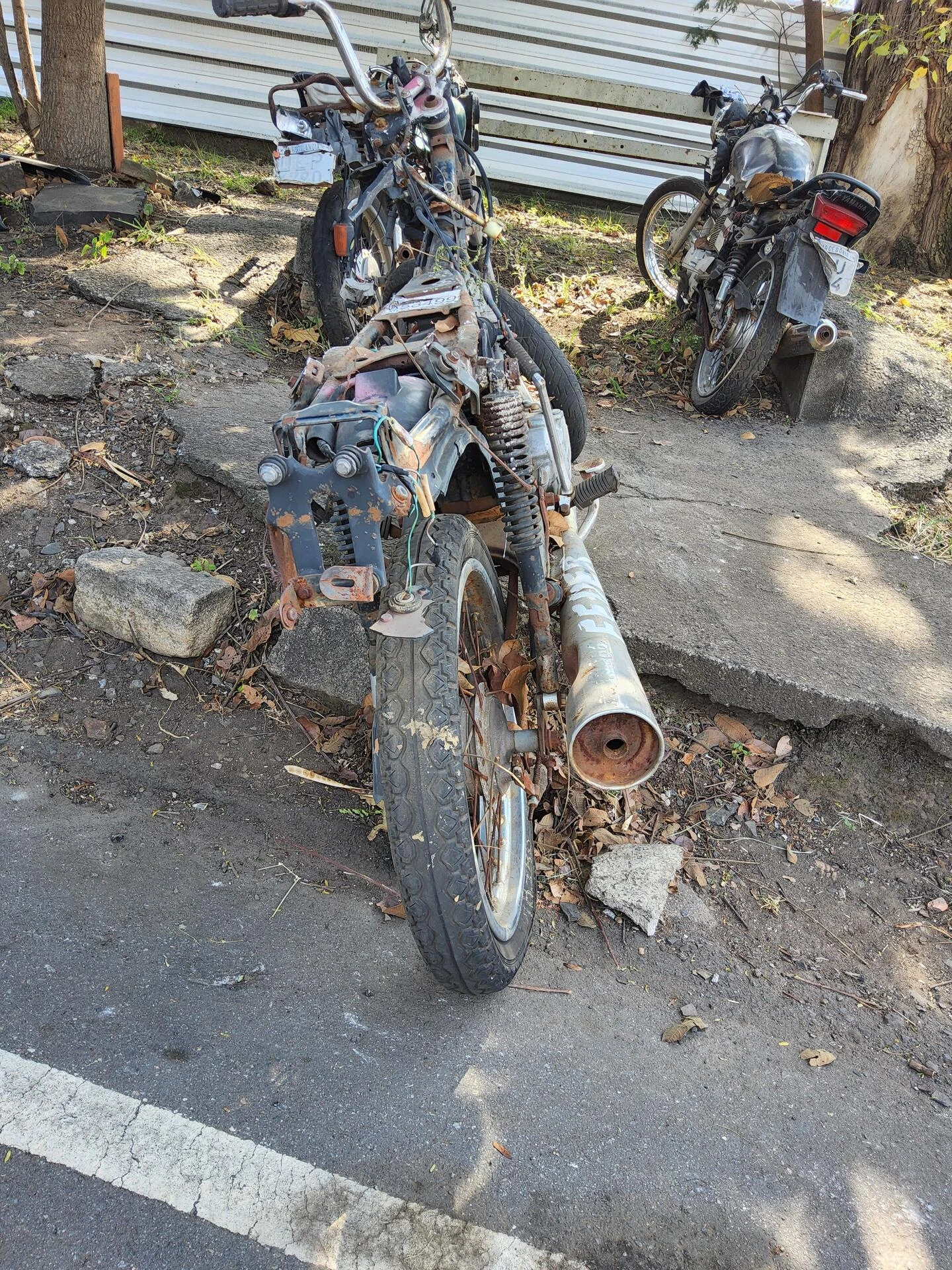 Moto Honda CG 125 (1987) BMX7151 em Campinas/SP em Campinas - São Paulo