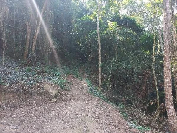 Terreno de 481m² no Bairro Ipiritaninga em Niterói - Rio de Janeiro
