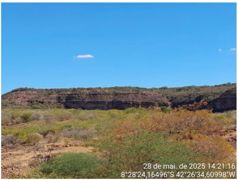 Terreno 55 Ha de Terras em João Costa/PI em João Costa - Piauí