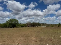Terreno com 15 Hectares em Alagoinha/PB em Alagoinha - Paraíba