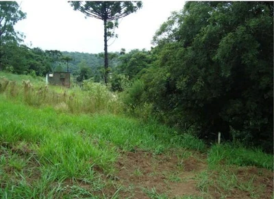 Terreno no Colônia F Ortigueira em Ortigueira/PR em Ortigueira - Paraná