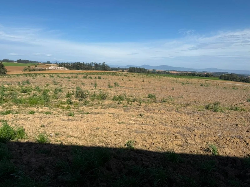 Terreno no Rio das Pacas em Vidal Ramos/SC em Vidal Ramos - Santa Catarina