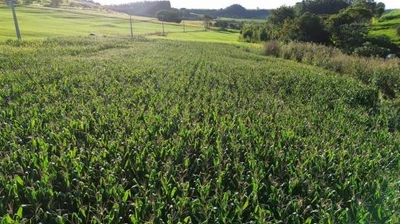 Terreno com 6.909 m² em Nova Prata do Iguaçu/PR em Nova Prata Do Iguaçu - Paraná