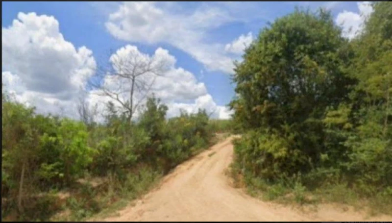 Terreno com 28.94 Ha em Encruzilhada/BA em Encruzilhada - Bahia