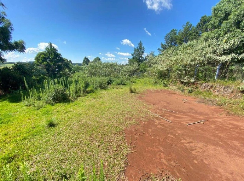 Terreno com Lote 15, Quadra 9 em Erval Grande/RS em Erval Grande - Rio Grande do Sul