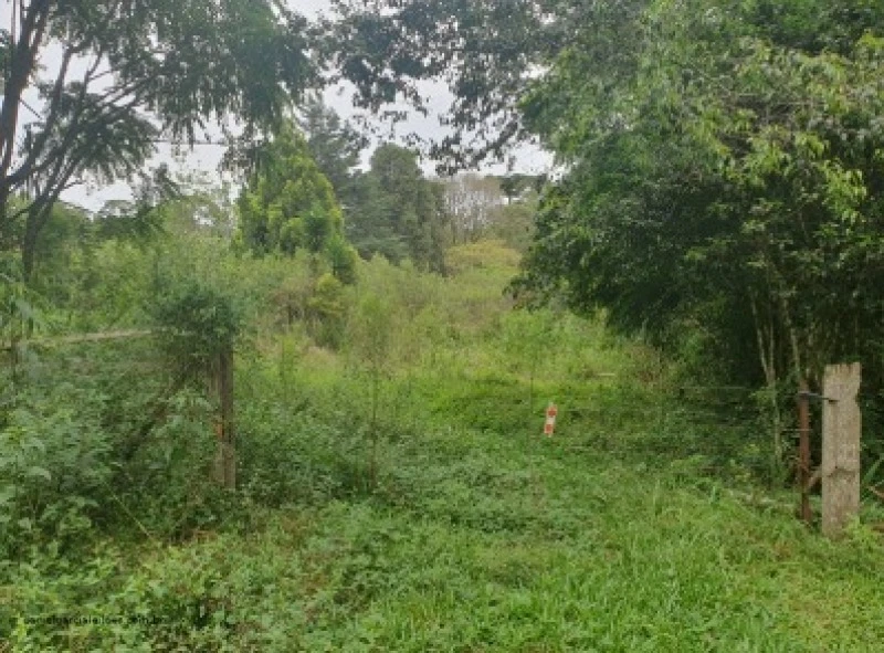 Terreno no Barra Grande em Três Barras/SC em Três Barras - Santa Catarina