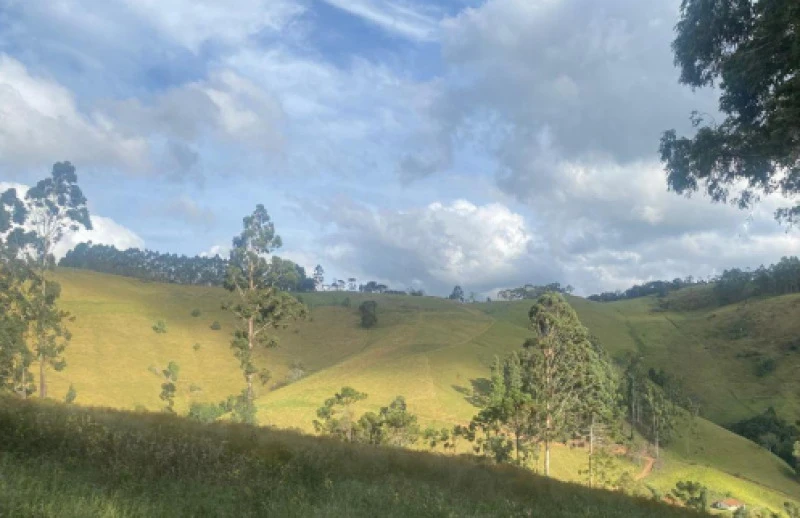Terreno Terreno rural em Camanducaia/MG em Camanducaia - Minas Gerais