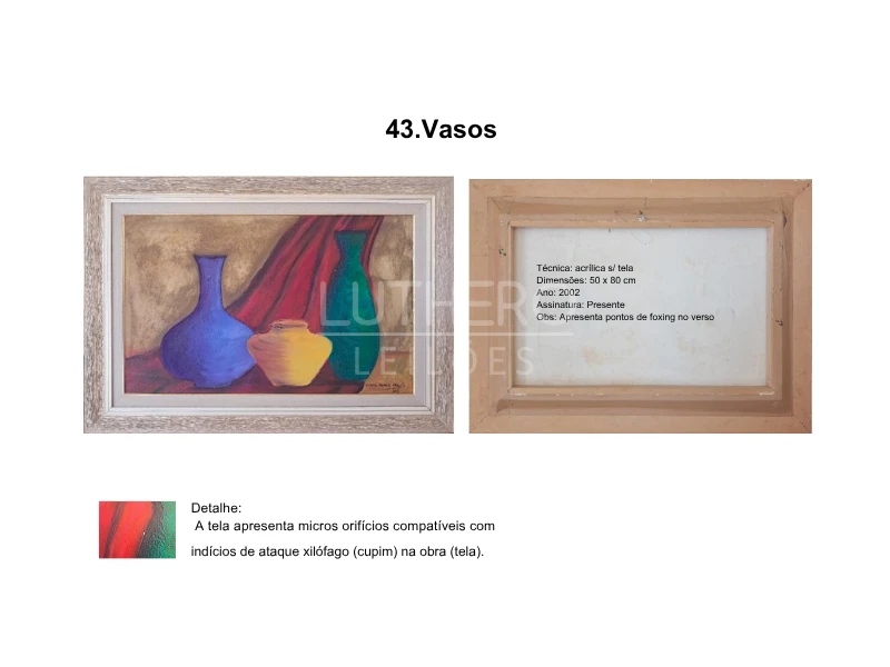 Outro 43 Vasos em Itapetininga/SP em Itapetininga - São Paulo