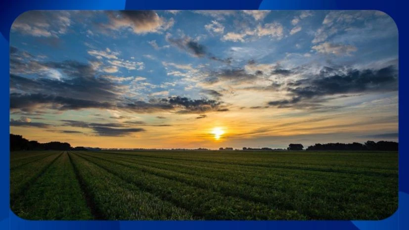 Fazenda Área Altamira em Tauá/CE