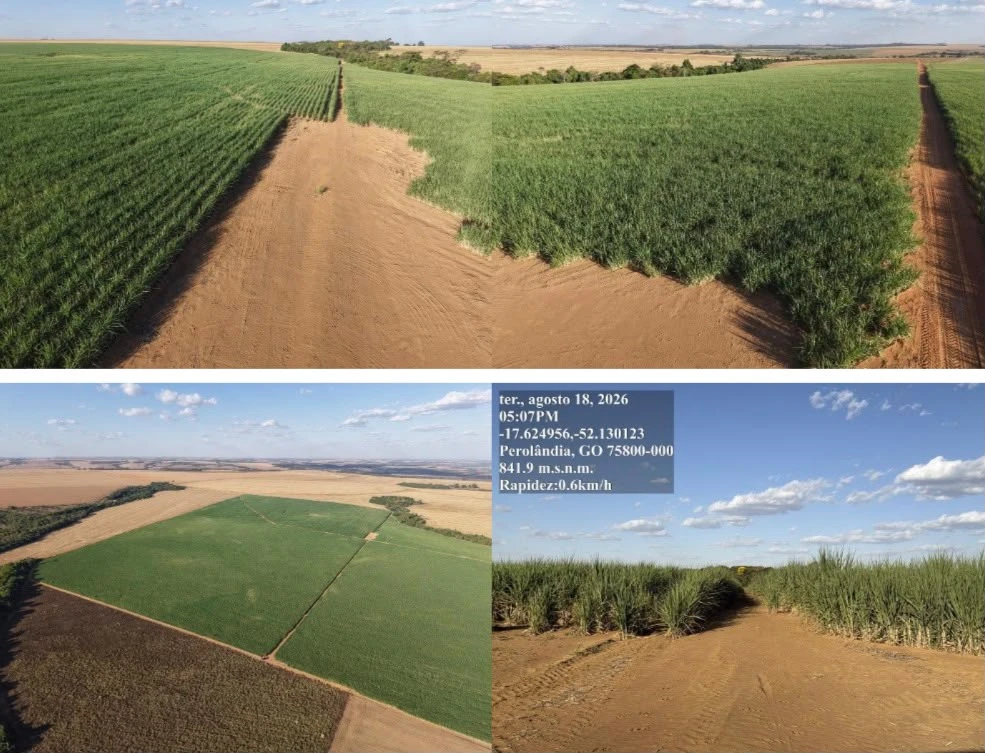 Fazenda 155ha89a31ca em Perolândia/GO em Perolândia - Goiás